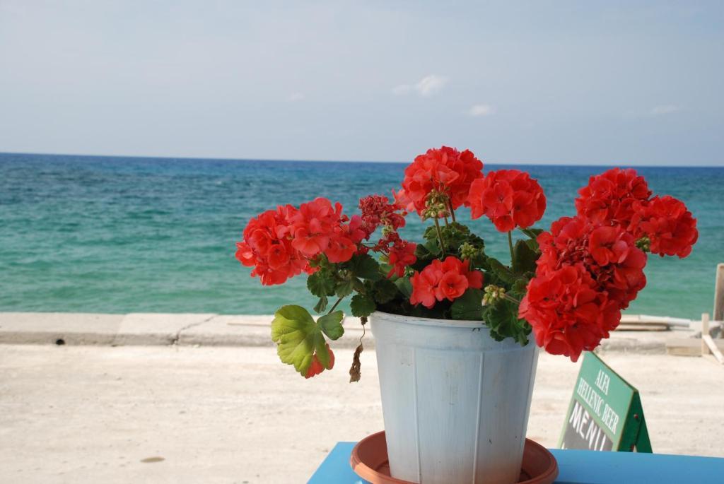Socrates Apartmens & Restaurant Милатос Екстериор снимка